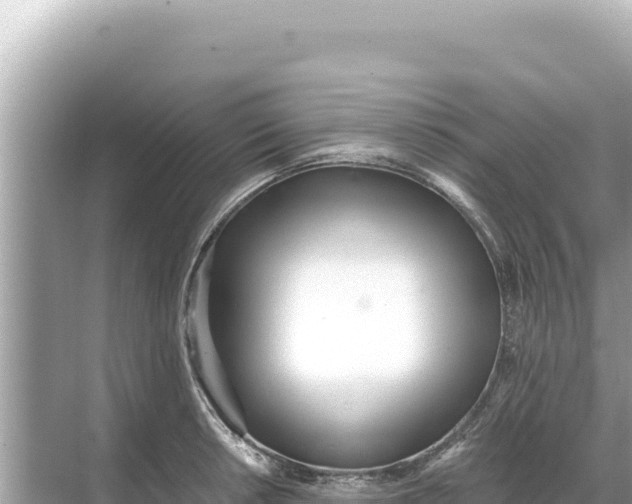 X0000068261042200605051744