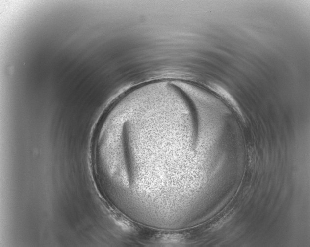 X0000068261043200605051744