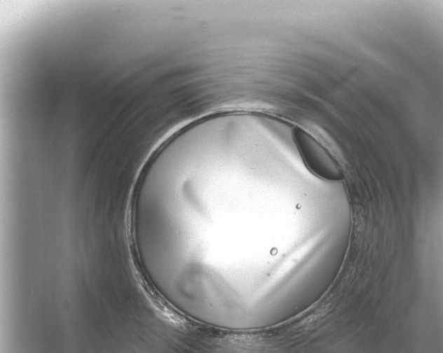 X0000068261044200605051744