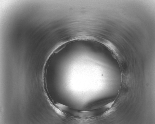 X0000068261046200605051744