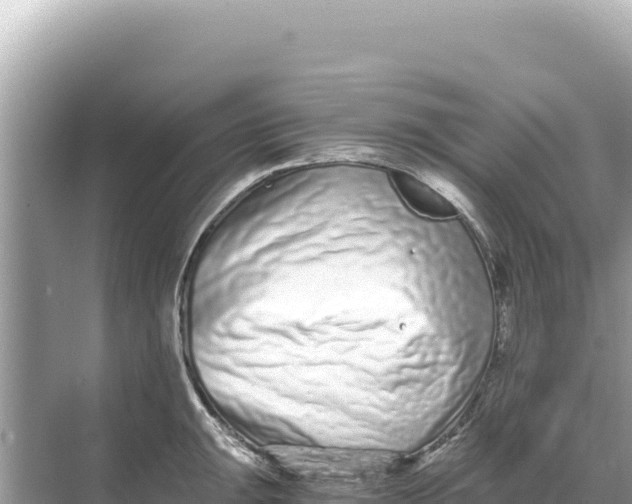 X0000068261047200605051744