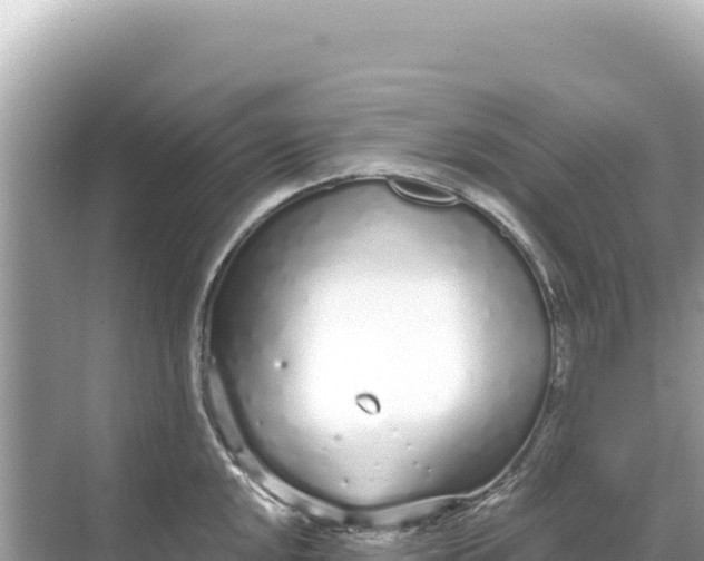 X0000068261048200605051744