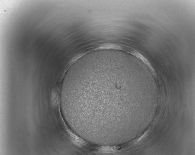 X0000068261049200605051744