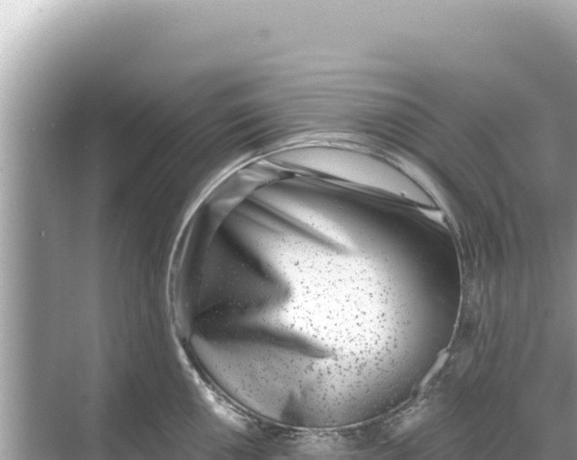 X0000068261050200605051744