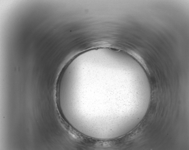 X0000068261051200605051744