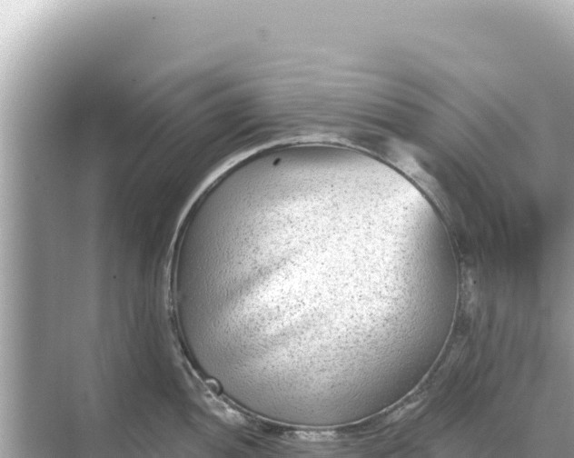 X0000068261052200605051744