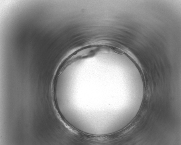 X0000068261053200605051744