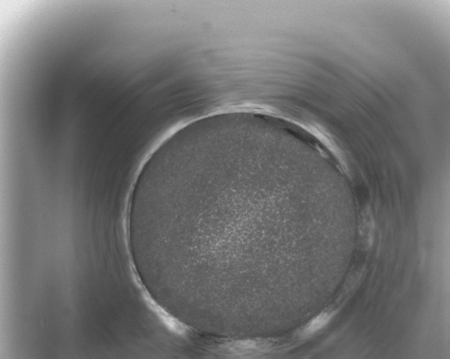 X0000068261054200605051744