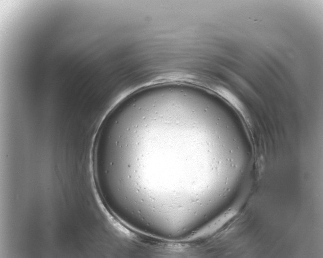 X0000068261055200605051744