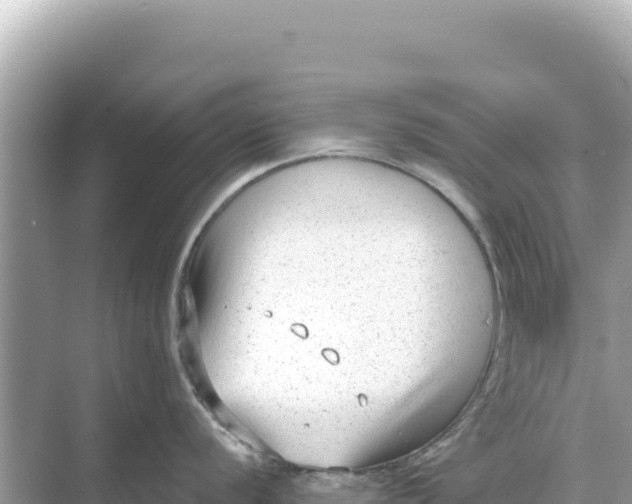 X0000068261056200605051744