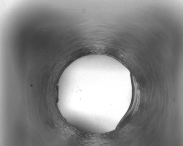 X0000068261057200605051743