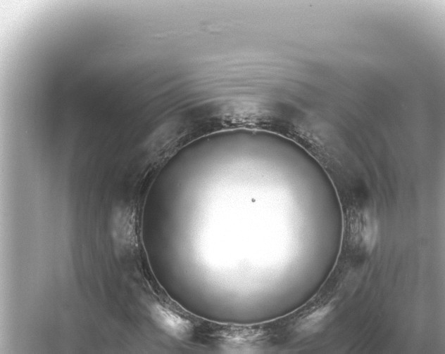 X0000068261060200605051743