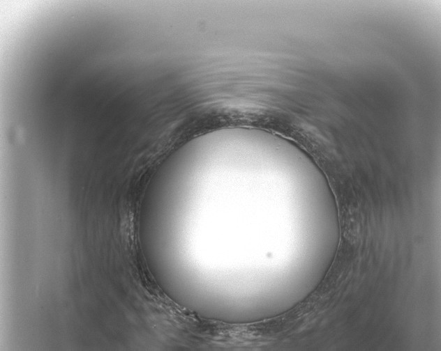 X0000068261061200605051743