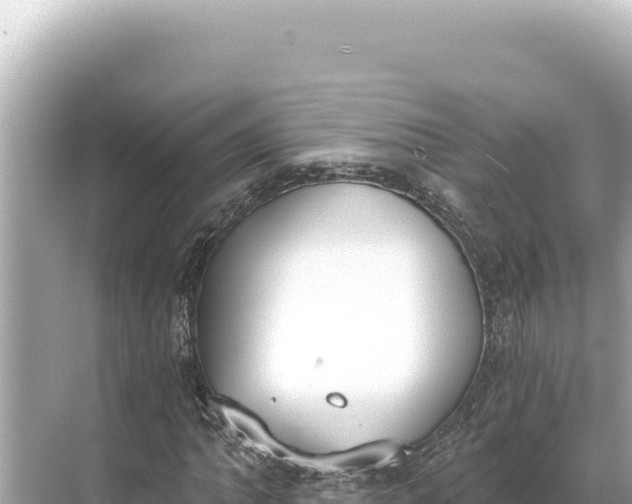 X0000068261062200605051743