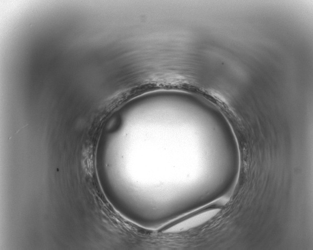 X0000068261063200605051743