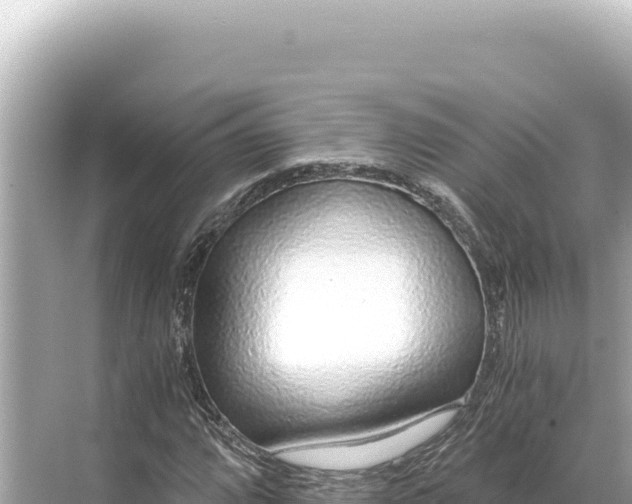 X0000068261064200605051743