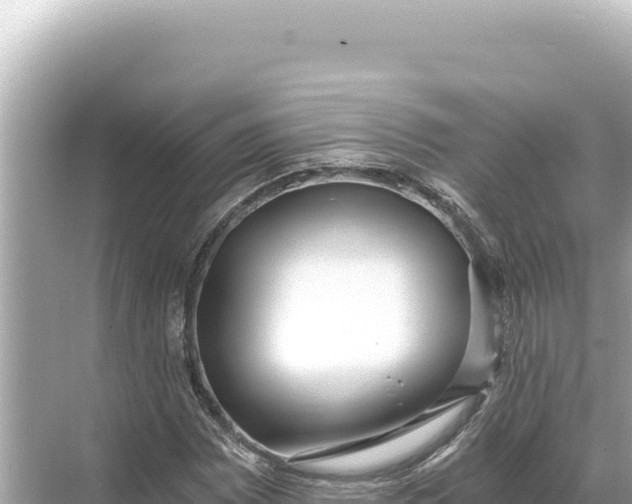 X0000068261065200605051743