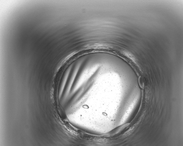 X0000068261066200605051743