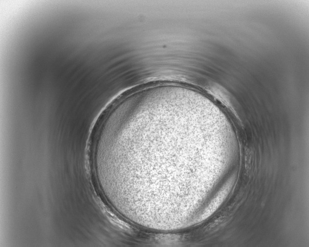 X0000068261068200605051743