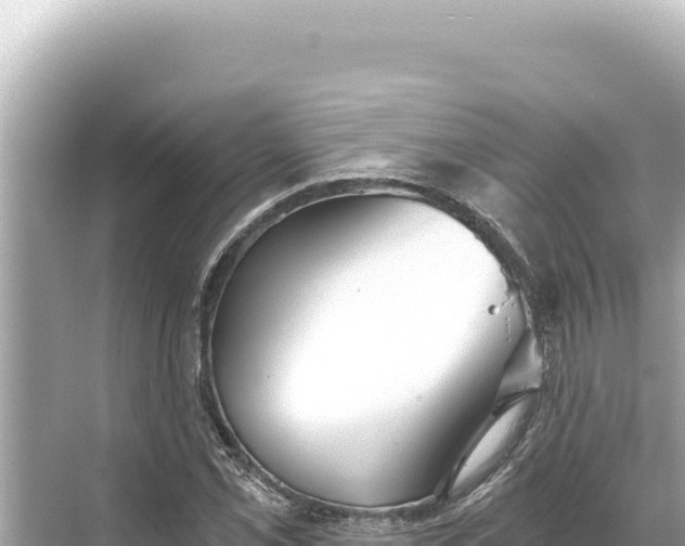 X0000068261069200605051743