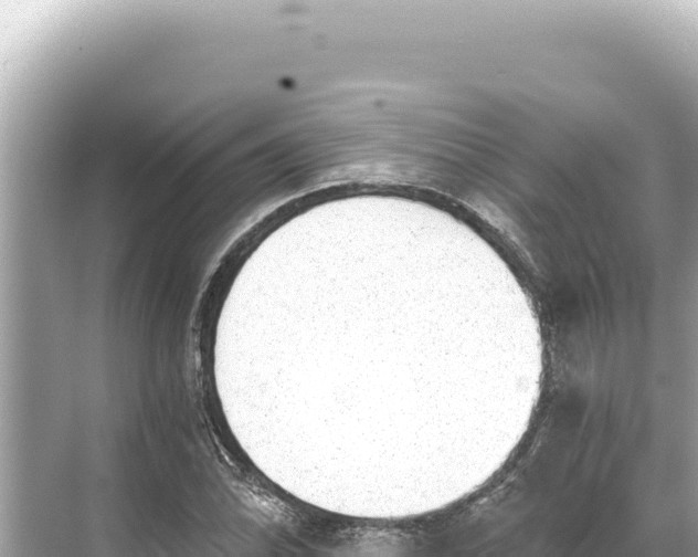 X0000068261070200605051743