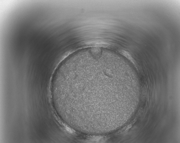 X0000068261071200605051743