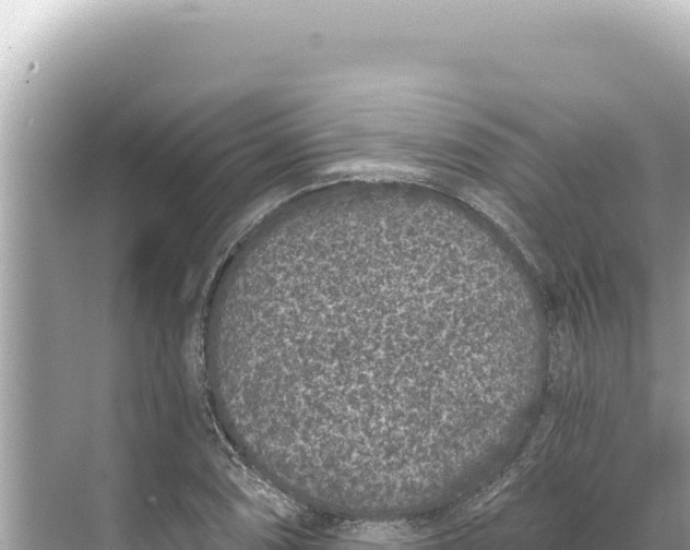 X0000068261074200605051743