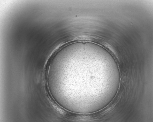 X0000068261075200605051743