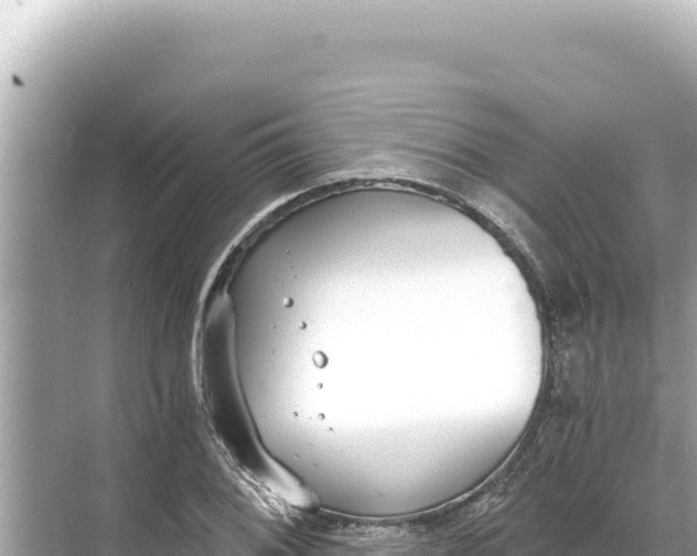 X0000068261076200605051743