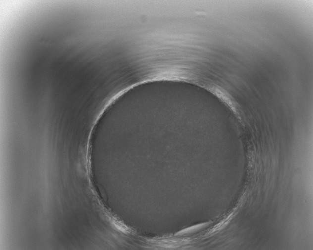 X0000068261077200605051743