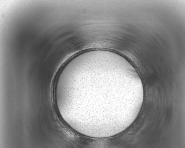 X0000068261078200605051743