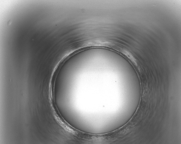 X0000068261080200605051743