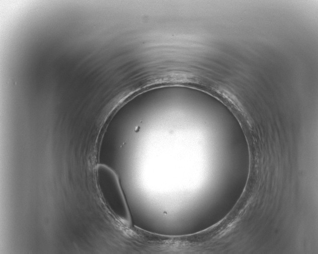 X0000068261081200605051743