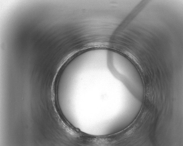 X0000068261082200605051743