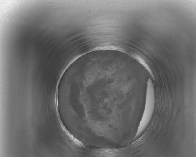 X0000068261084200605051743