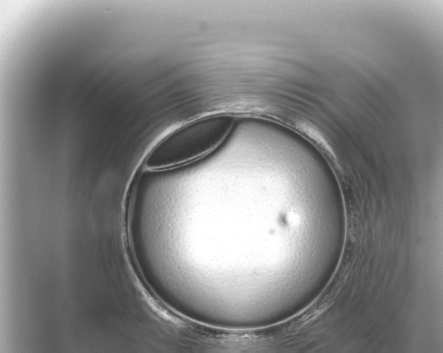 X0000068261087200605051743