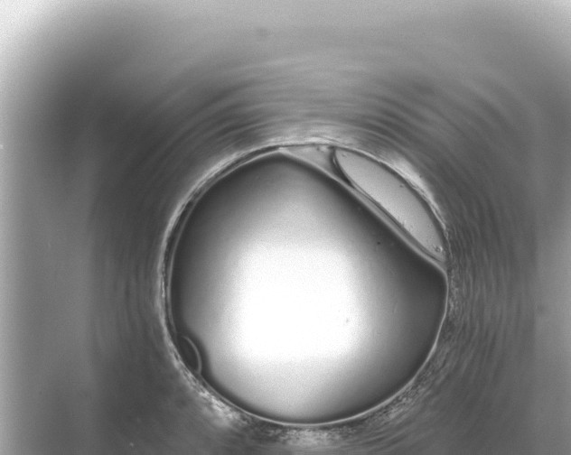 X0000068261088200605051743