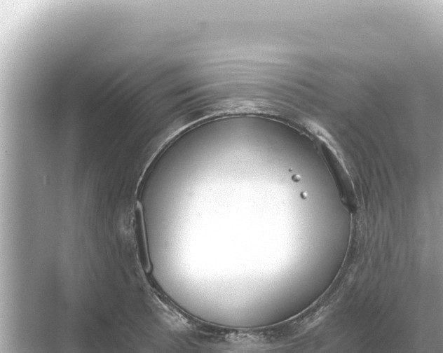 X0000068261089200605051743