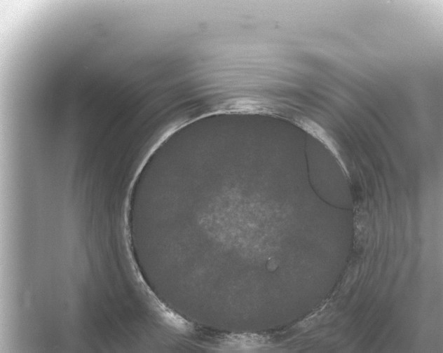 X0000068261091200605051743