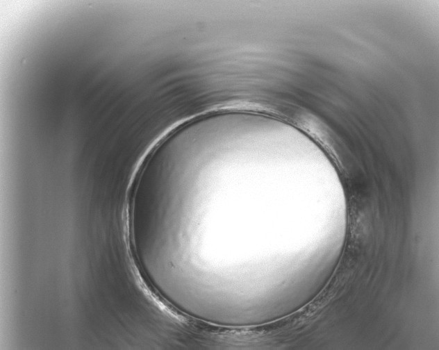 X0000068261092200605051743