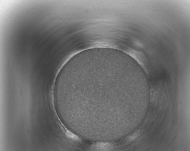 X0000068261094200605051743