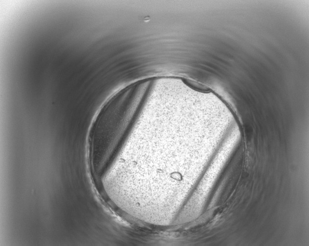 X0000068261096200605051743