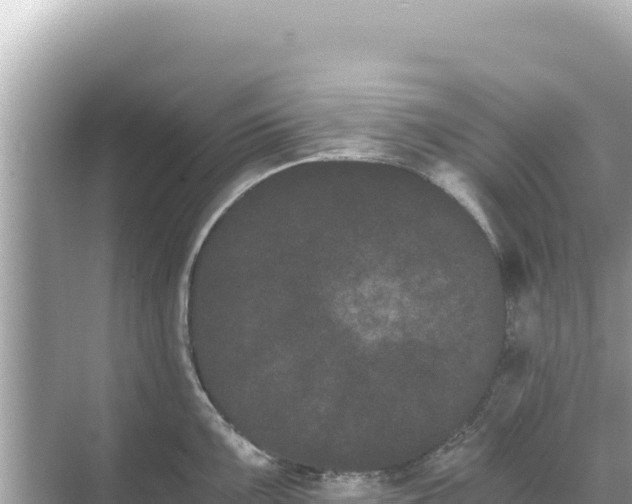 X0000068261099200605051743