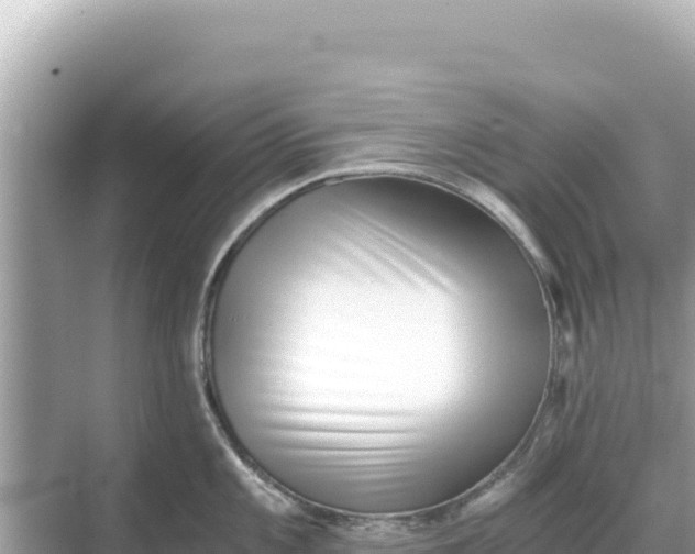 X0000068261101200605051743