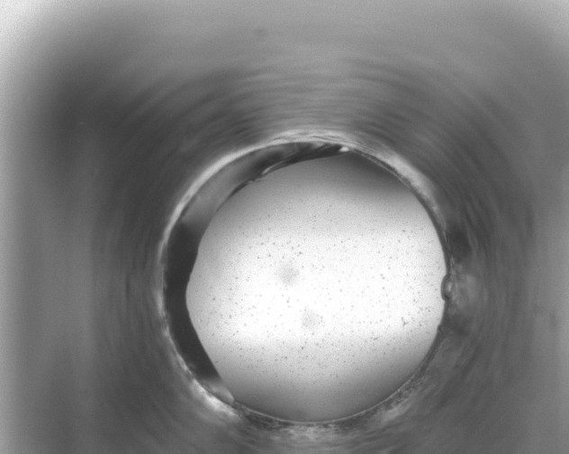 X0000068261102200605051743