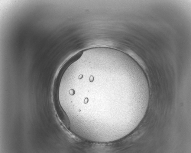 X0000068261104200605051742