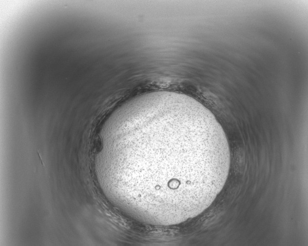 X0000068261105200605051742