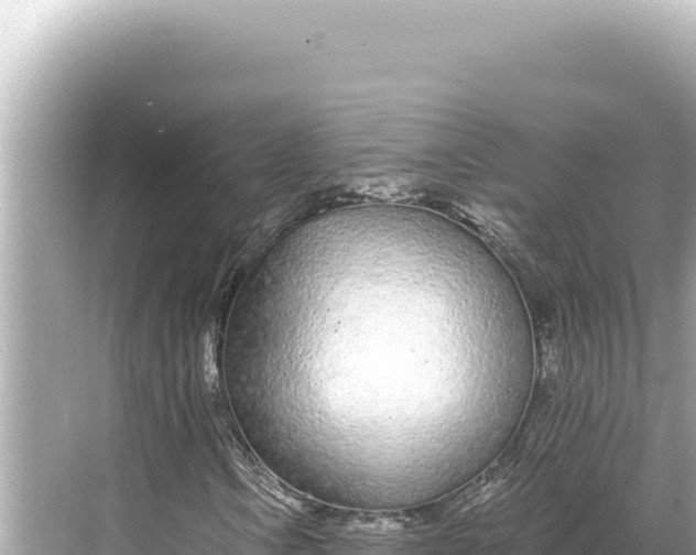 X0000068261106200605051742