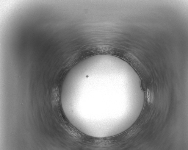 X0000068261107200605051742