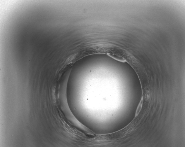 X0000068261108200605051742